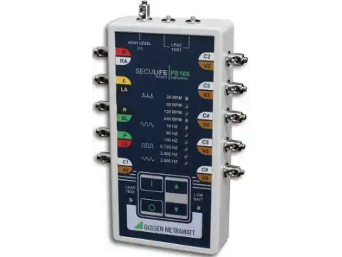 SECULIFE PS100